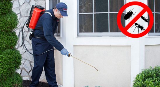 Gebze Böcek ve Haşere İlaçlama böcek ilaçlama ve haşere kontrolü — ilaclama-tr.com